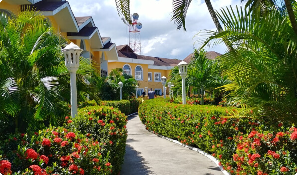 garden we lands caping